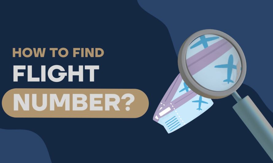 How To Find Flight Number?