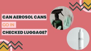 Can Aerosol Cans Go In Checked Luggage
