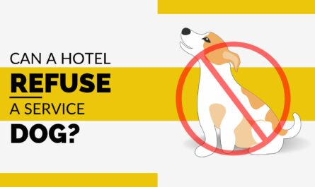 Can A Hotel Refuse A Service Dog